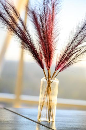 Hopes-Door-Fall-Gala-2025-0010