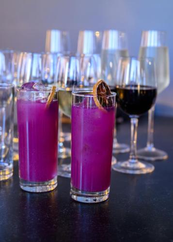 Hopes-Door-Fall-Gala-2025-0021